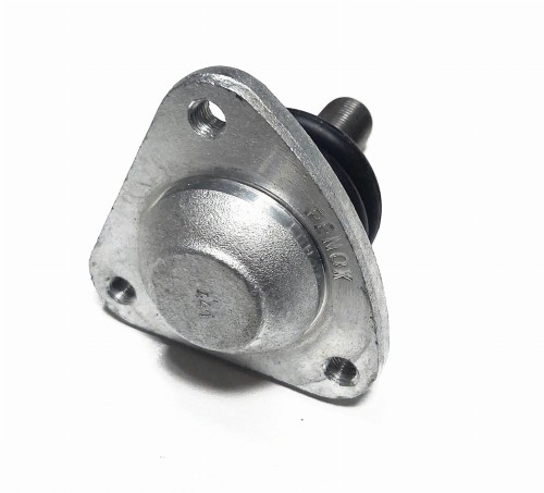 20250224_191555.jpg